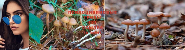 MDMA Premium VHQ Верея