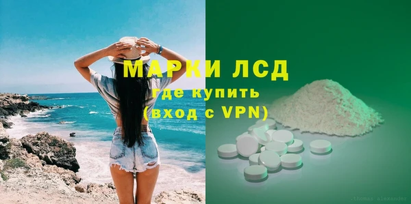 ГАЛЛЮЦИНОГЕННЫЕ ГРИБЫ Бородино