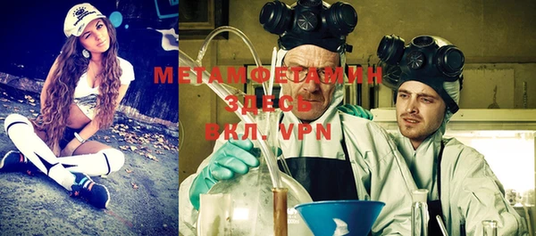 ГАЛЛЮЦИНОГЕННЫЕ ГРИБЫ Бородино