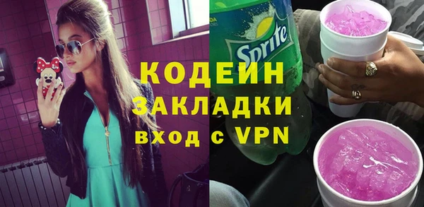 ГАЛЛЮЦИНОГЕННЫЕ ГРИБЫ Бородино