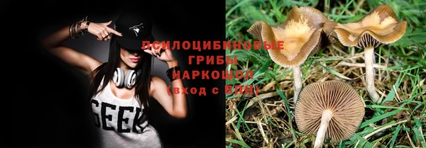 прущий лед Бронницы