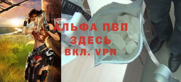 ГАЛЛЮЦИНОГЕННЫЕ ГРИБЫ Бородино
